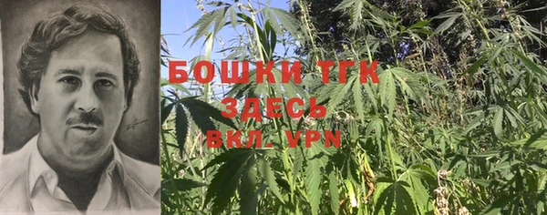 тгк Алексин