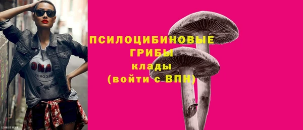 тгк Алексин