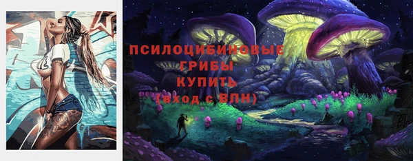 тгк Алексин